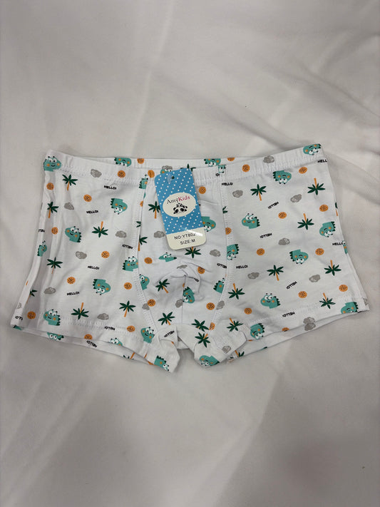 BOXER NIÑO DINOSAURIO