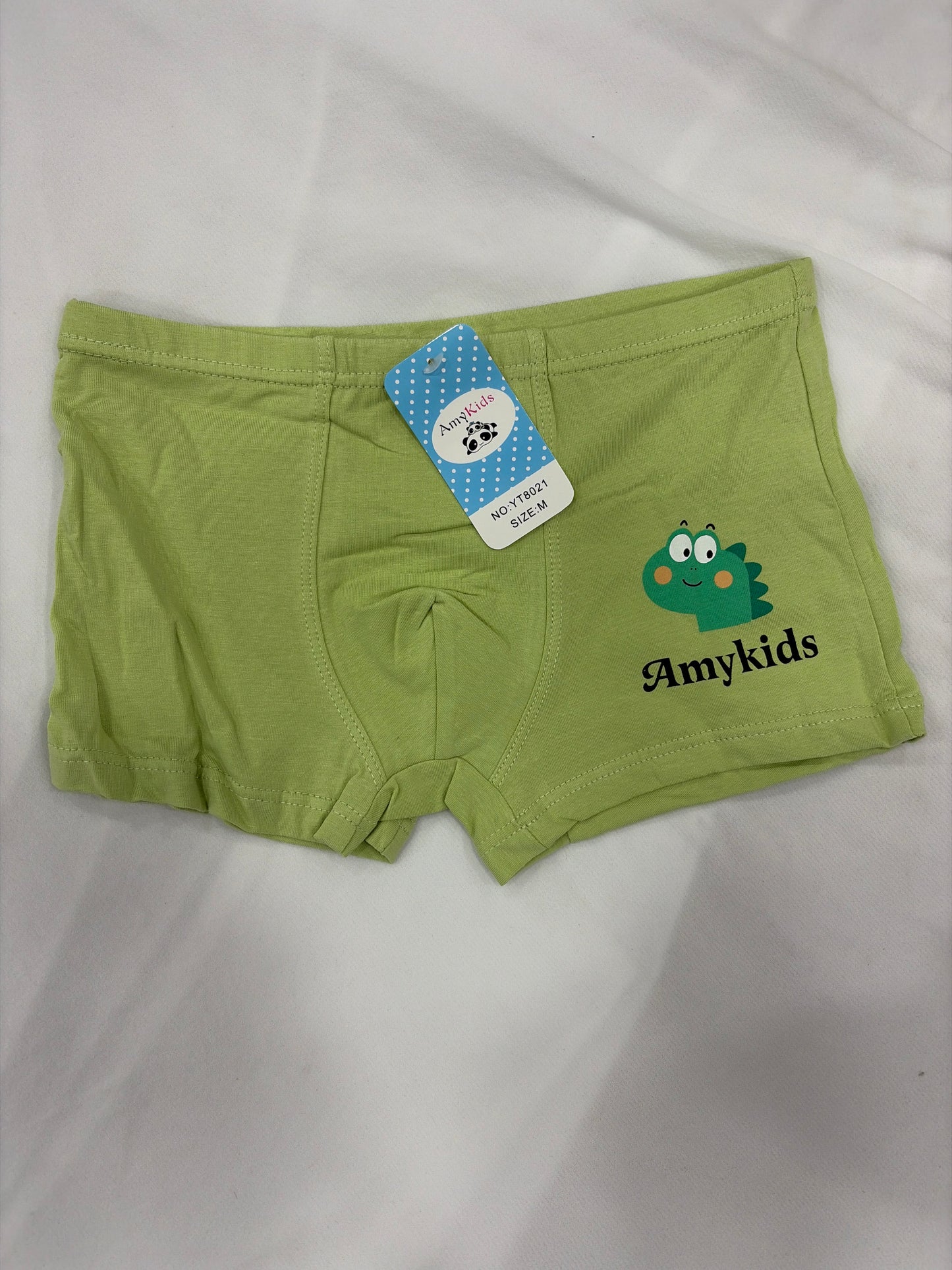 BOXER NIÑO DINOSAURIO