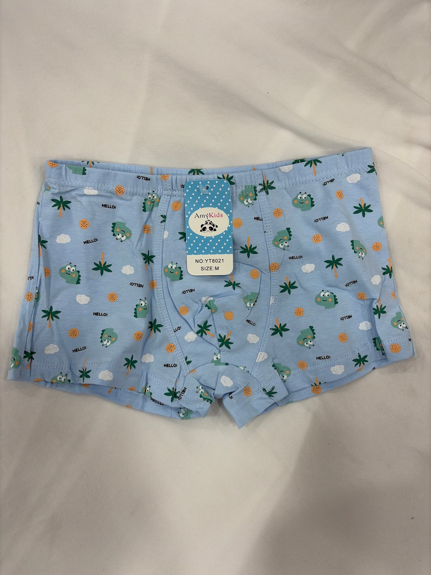 BOXER NIÑO DINOSAURIO