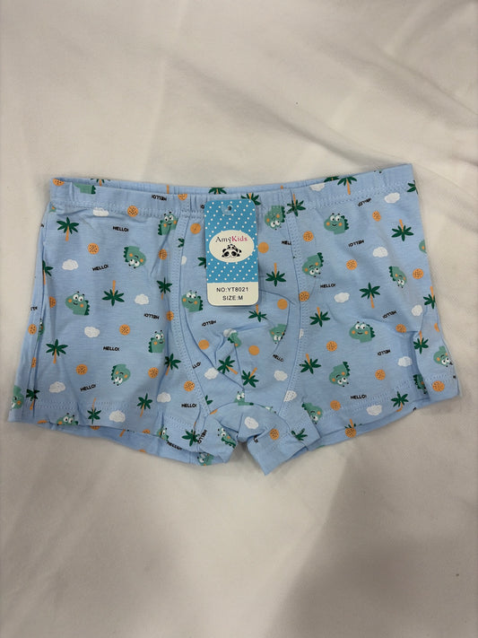 BOXER NIÑO DINOSAURIO