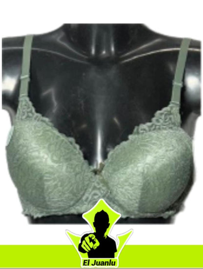 Sujetador Copa C R33902 (Precio 2€)